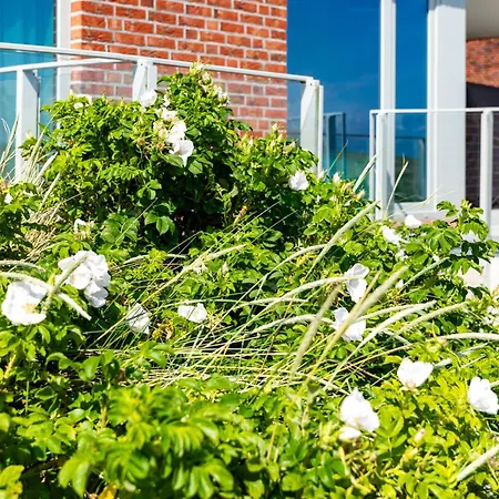 Apartment 6 - Mit Wattblick Juist